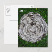 spullen van de koe briefkaart (Voorkant / Achterkant)