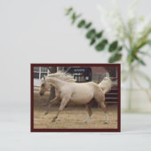 Spunky Palomino Briefkaart (Staand voorkant)