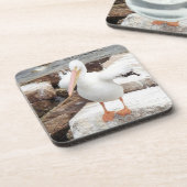 Spunky Pelican Onderzetters (Linkerzijde)