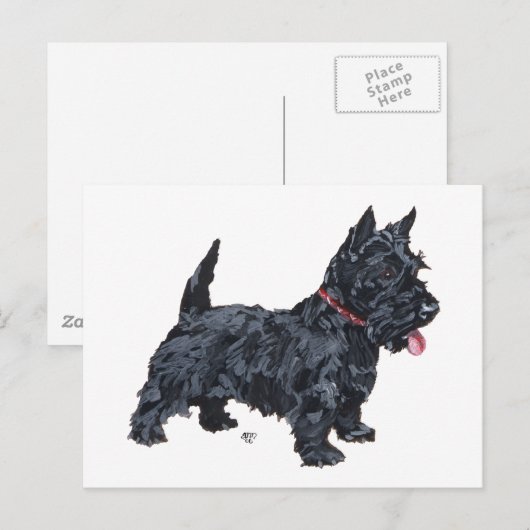 Spunky Scottie Dog Briefkaart (Voorkant / Achterkant)