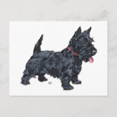 Spunky Scottie Dog Briefkaart (Voorkant)