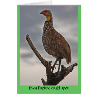 Spur-necked Fowl Card