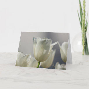 Spure White Spring Tulips Lee Hiller Photography Kaart