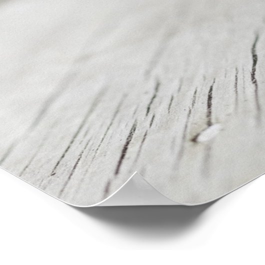 Spurs op cowboylaarzen poster (Hoek)