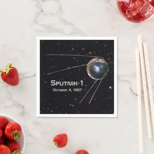 Sputnik 1 Satellite Servet (Insitu)