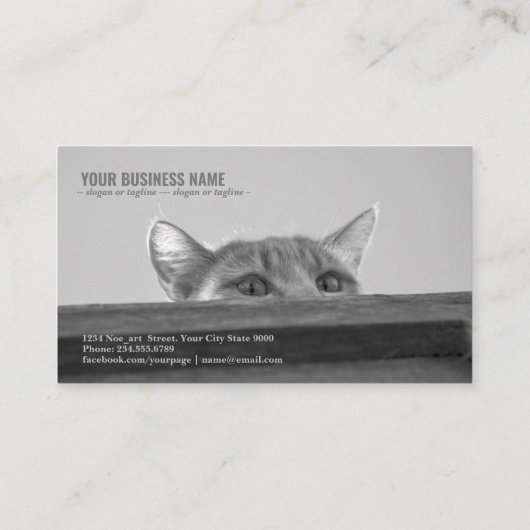 Spy Cat Visitekaartje (Achterkant)