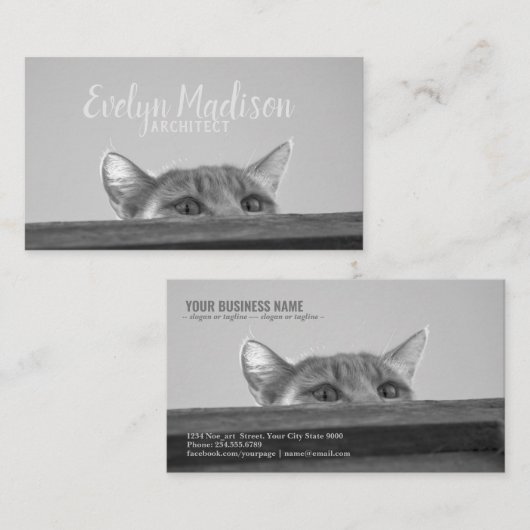 Spy Cat Visitekaartje (Voorkant / Achterkant)