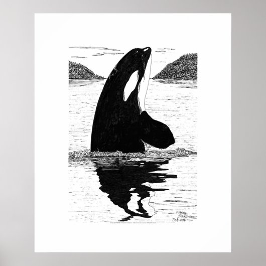 Spy-Hopping Killer Whale, Pen and Ink Poster (Voorkant)