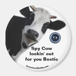 Spy Koe op zoek naar je Bostic fun magnet