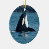 Spyhop Ornament (Rechts)