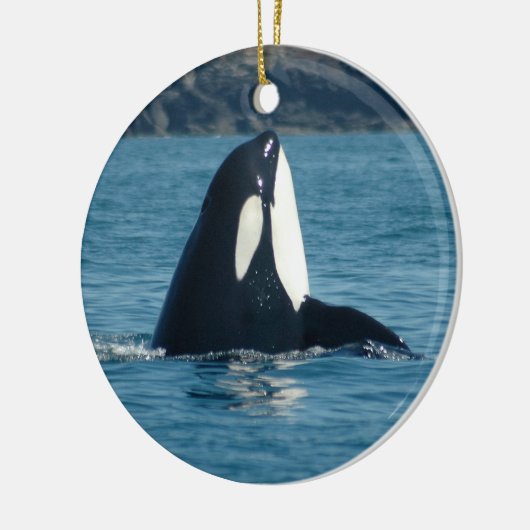 Spyhop Ornament (Links)