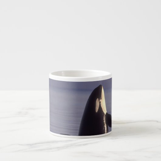 Spyhopping Orca Killer Whale Espresso Kop (Voorkant)