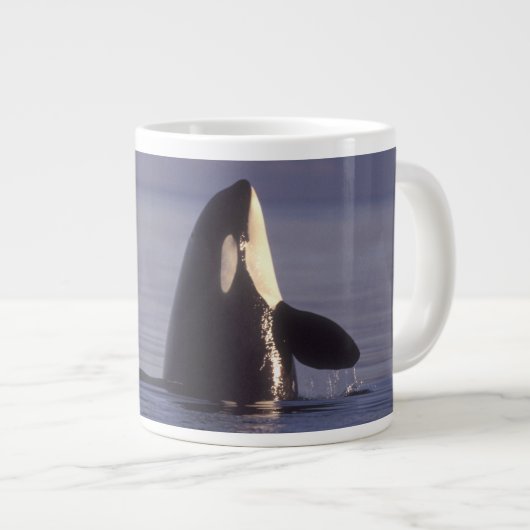 Spyhopping Orca Killer Whale Grote Koffiekop (Voorkant rechts)