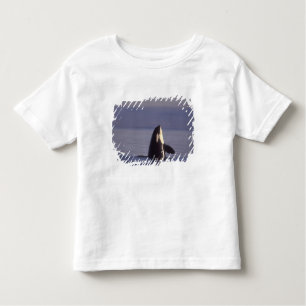 Spyhopping Orca Killer Whale Kinder Shirts
