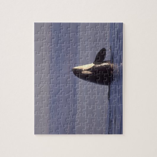 Spyhopping Orca Killer Whale Legpuzzel (Verticaal)