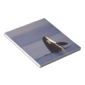 Spyhopping Orca Killer Whale Notitieblok (Schuin)