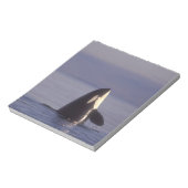 Spyhopping Orca Killer Whale Notitieblok (Linkerzijde)