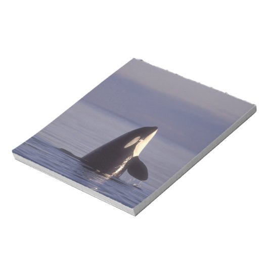 Spyhopping Orca Killer Whale Notitieblok (Linkerzijde)