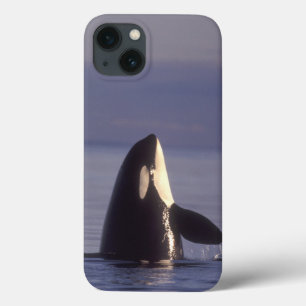 Spyhopping Orca Killer Whale (Orca orcinus) nabij Case-Mate iPhone Case