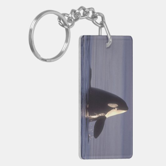 Spyhopping Orca Killer Whale Sleutelhanger (Voorkant Links)