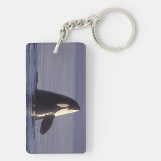 Spyhopping Orca Killer Whale Sleutelhanger (achterkant)