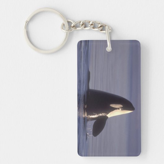 Spyhopping Orca Killer Whale Sleutelhanger (Voorkant)