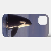 Spyhopping Orka Orka (Orcinus orca) nabij Case-Mate iPhone Case (Achterkant (horizontaal))