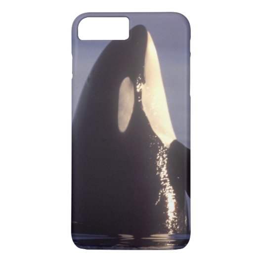 Spyhopping Orka Zwaardwalvis (Orca orcinus) nabij Case-Mate iPhone Case (Achterkant)
