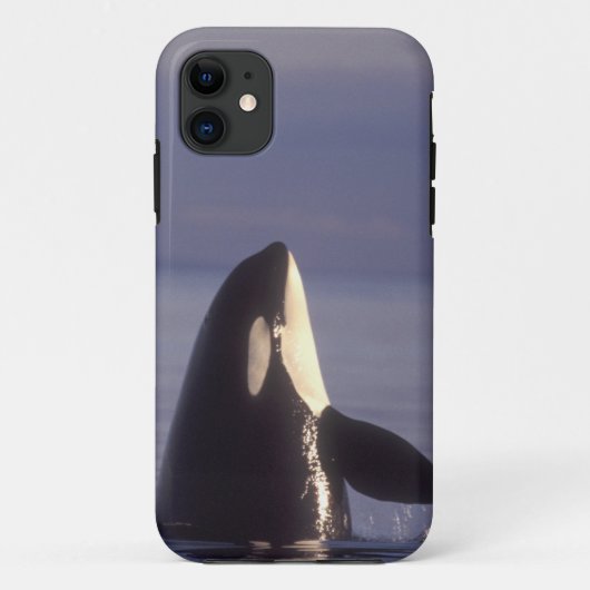 Spyhopping Orka Zwaardwalvis (Orca orcinus) nabij Case-Mate iPhone Case (Achterkant)