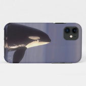 Spyhopping Orka Zwaardwalvis (Orca orcinus) nabij Case-Mate iPhone Case (Achterkant (horizontaal))