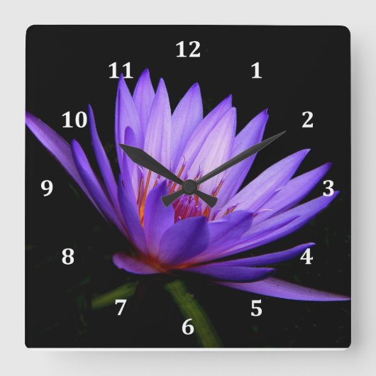 Square Clock, Dark Side of the Paarse Water Lily Vierkante Klok (Voorkant)