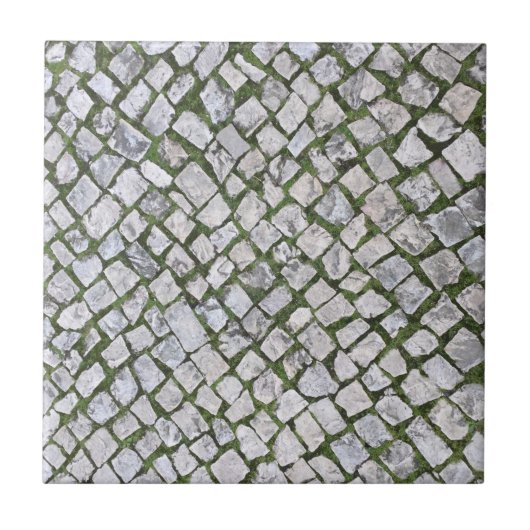 Square Cobblestone Rock Pattern met Green Moss Tegeltje (Voorkant)