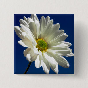 Square Daisy Button