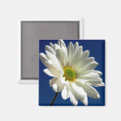 Square Daisy Magnet (Voorkant / Achterkant)