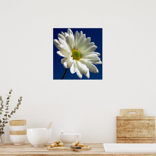 Square Daisy Poster (Keuken)