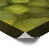 Square Grapes Poster (Hoek)