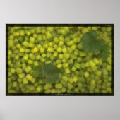 Square Grapes Poster