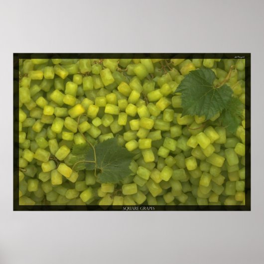 Square Grapes Poster (Voorkant)