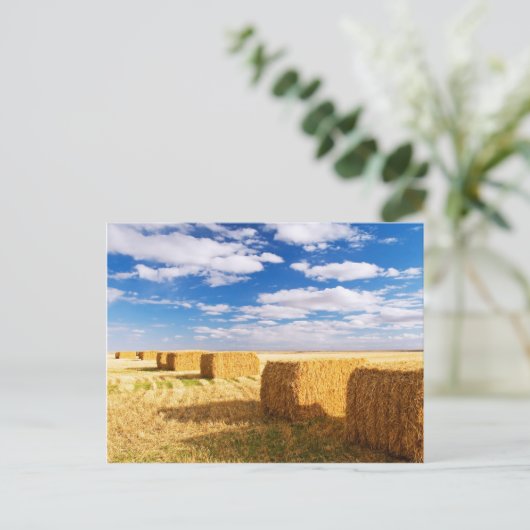 Square Hay Bales Briefkaart (Staand voorkant)