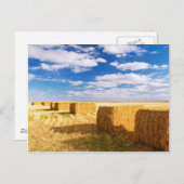 Square Hay Bales Briefkaart (Voorkant / Achterkant)
