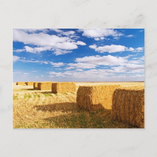 Square Hay Bales Briefkaart (Voorkant)