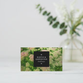 Square Label 01a - Sedum Autumn Joy (Staand voorkant)