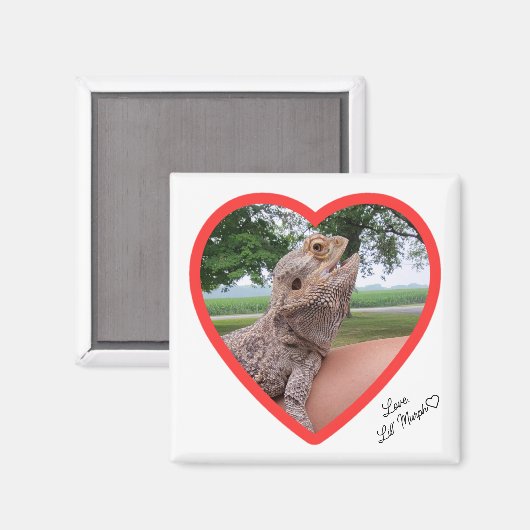 Square Lizard Love Magnet (Voorkant / Achterkant)