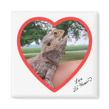 Square Lizard Love Magnet