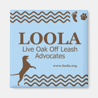 Square LOOLAorg Metalen Magneet