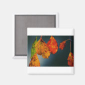 Square Magnet (Voorkant / Achterkant)