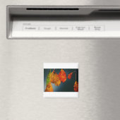 Square Magnet (Insitu (Vaatwasser))