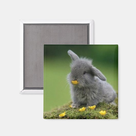 Square magnet (Voorkant / Achterkant)