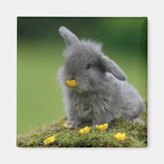 Square magnet (Voorkant)