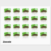  Square Mint Chocolade Stickers (Vel)
